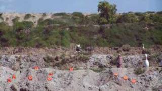 Tannerite Teddy Bear