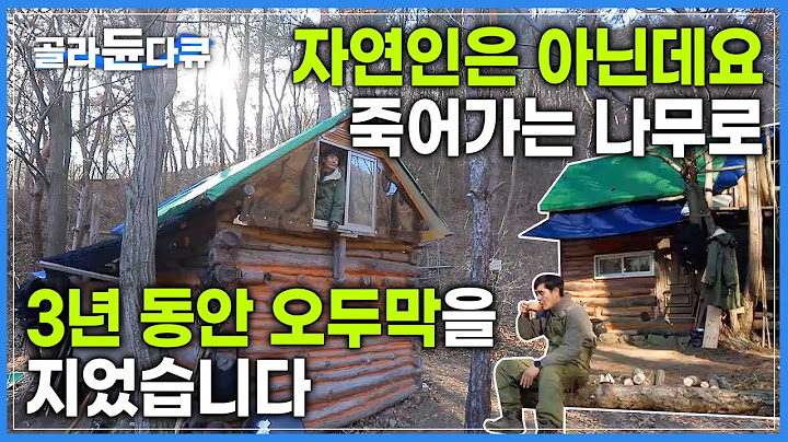 자연인 아니어도 살아볼 수는 있잖아요? 수건 한 장 들 힘도 없던 사람이 3년 동안 지은 오두막집🪵 간헐적으로 자연인이 되는 남자의 산골 표류기ㅣ#골라듄다큐