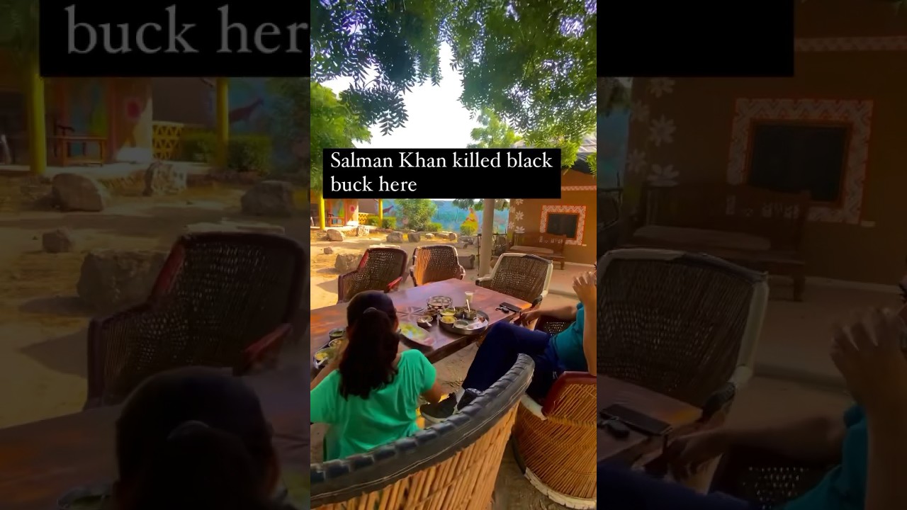 Salman khan killed black buck 🦌here.. Bishnoi village 