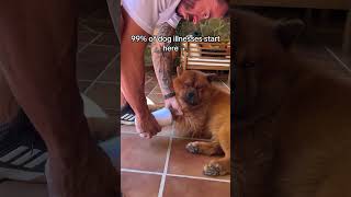 uespiiiii.1115 funny video 😂😂😂 | Mr Uekusa Best TikTok 2026 May #shorts