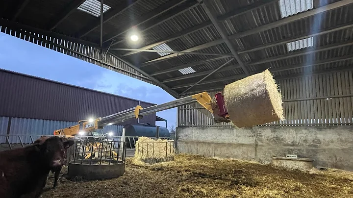 Cow bedding machine round bale straw unwinder #cow...