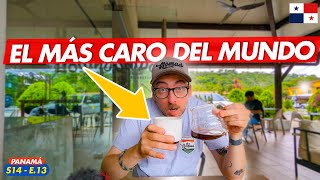 PAGUÉ 10 DÓLARES POR UN CAFÉ en PANAMÁ
