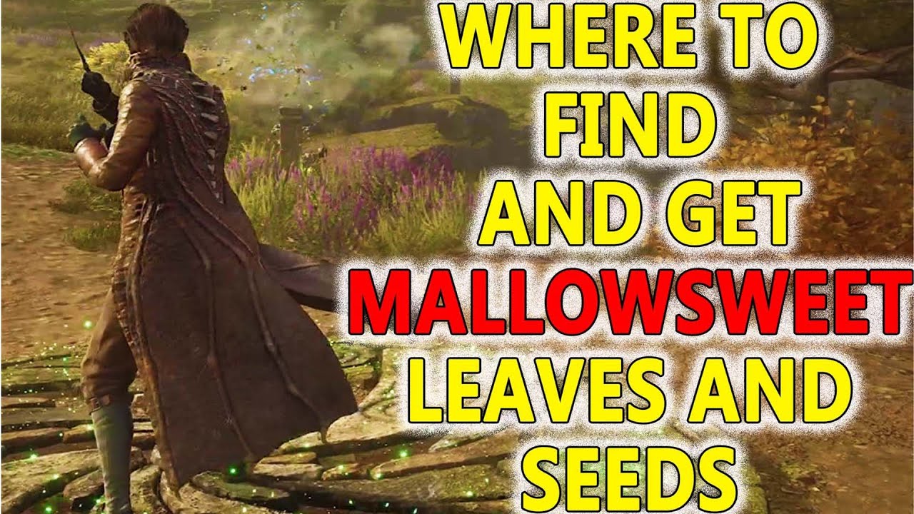 Where to get Mallowsweet || HOGWARTS LAGACY GAMEPLAY 
