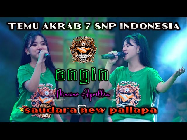 ANGIN - MAWAR APRILLIA - NEW PALLAPA - TEMU AKRAB 7 SNP 2024 GOR SIDOARJO class=