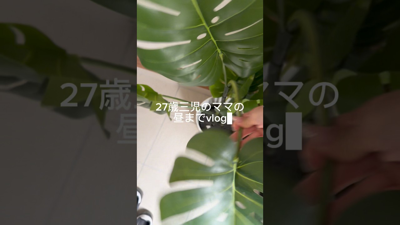 【vlog】朝は忙しいヨネ☆彡