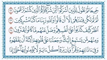 سورة الأنعام للقارئ #قاسم_شبلي