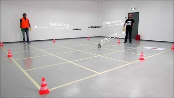 A Heterogenous Robot Swarm Performs Tasks given by Humans using a Gesture Language (Vocabulary)