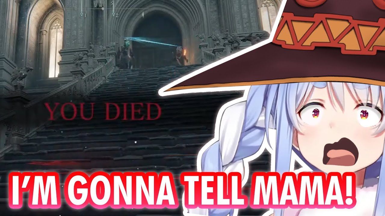 Забавная реакция Пекоры после того, как её завалили магией у ворот Хогвартса (Академия Райя Лукария)