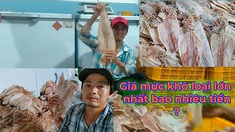 Mực khô loại lớn nhất | Hải sản khô