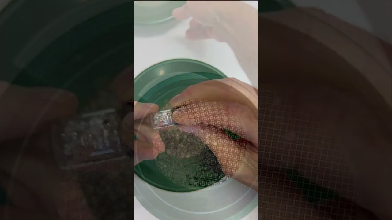 Я попробовал Silver Pay Dirt и вот что произошло!