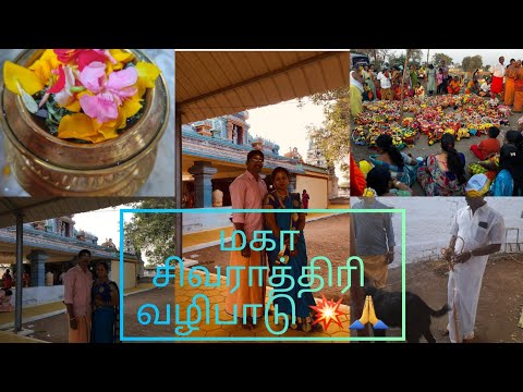 💥மொட பொங்கலும் கிடா விருத்தும்🐐🌾maha shivaratri Celebration @kuladhivam temple🙏😍 #pudhumaithedal