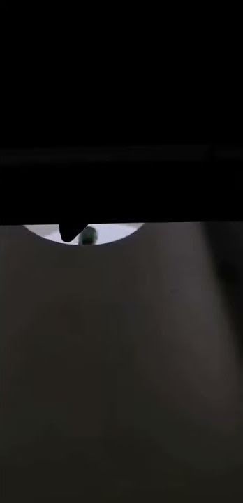 The back of Cockchafer -Sinar P 4x5