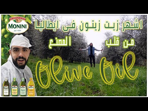 اشهر زيت زيتون فى ايطاليا جولة من داخل المصنع  