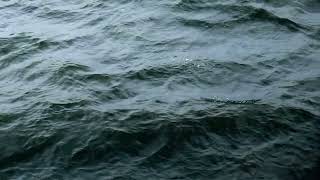 (E.P 20) Deep Sea Music 2026 🌊 Healing Ocean Ambient | Relaxing, Chill &amp; Calm Instrumental