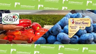 AndNowUKnow - Sun World, Wish Farms - QuickDish