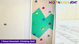 1 Panel Mountain Climbing Wall