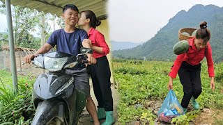 I earn extra income from selling watermelons lý thị hương