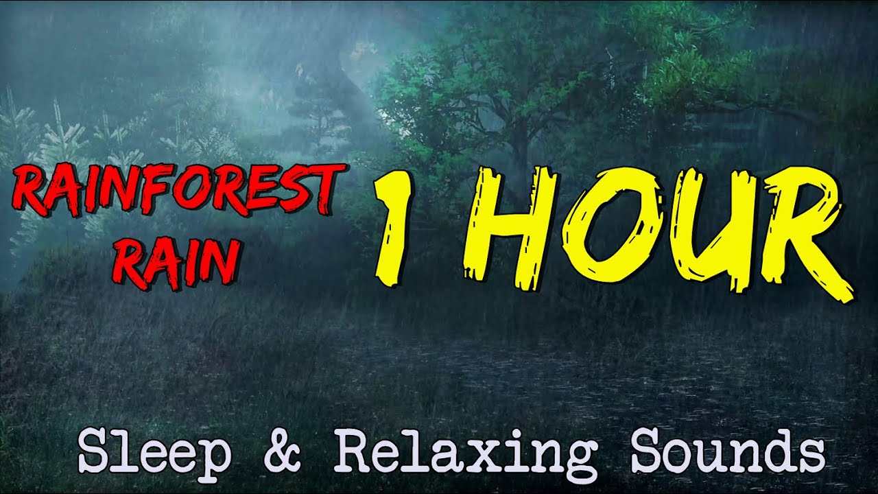 Rainforest Heavy Rain Sound For Sleeping Sleep, Study, Meditate With