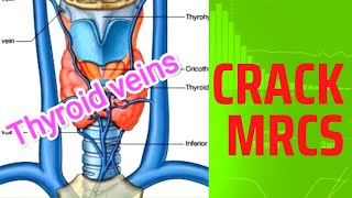 Middle thyroid vein drains into MRCS question solve (CRACK MRCS)