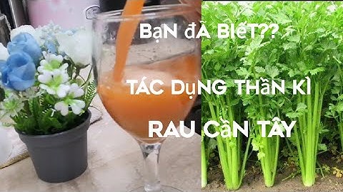 celery  carrot vegetable juice/ cách làm nước ép rau cần tây cà rốt@ÚT THÁP MƯỜI