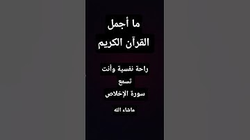 #القرآن_الكريم ❤️#سورة_الإخلاص🌺 #تلاوة_خاشعة 🌿#صلوا_صلوا_على_رسول_الله 🌴#أجر_لي_ولك 👑