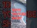 100th YOUTUBE Short #lifeisbutadream #watergarden #ponds