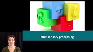 [Psyc220] 03 Multisensory