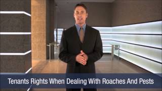 Tenants Rights When Dealing With Roaches And Pests