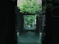 【神奈川】この苔寺、美しいです。
