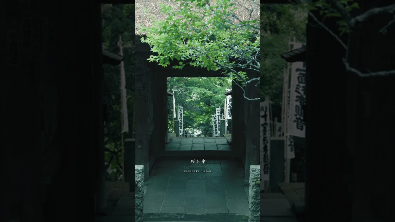 【神奈川】この苔寺、美しいです。