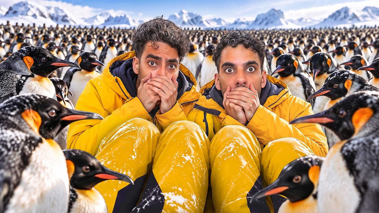 Latest Title & Thumbnail