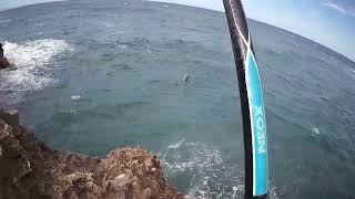 Ψαρεμαbolognese Rock Fishing & Yuki Neox Obidox