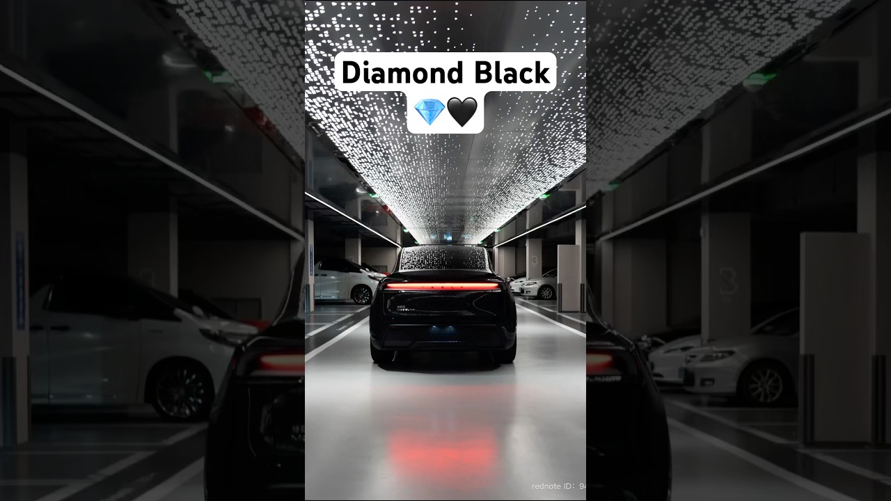 Tesla Model Y In Diamond Black 💎🖤