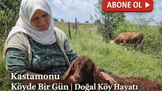 Bu Görüntüler İçinizi Isıtacak Kar Altında Köy Hayatı Ve Sevimli Dostlarımız