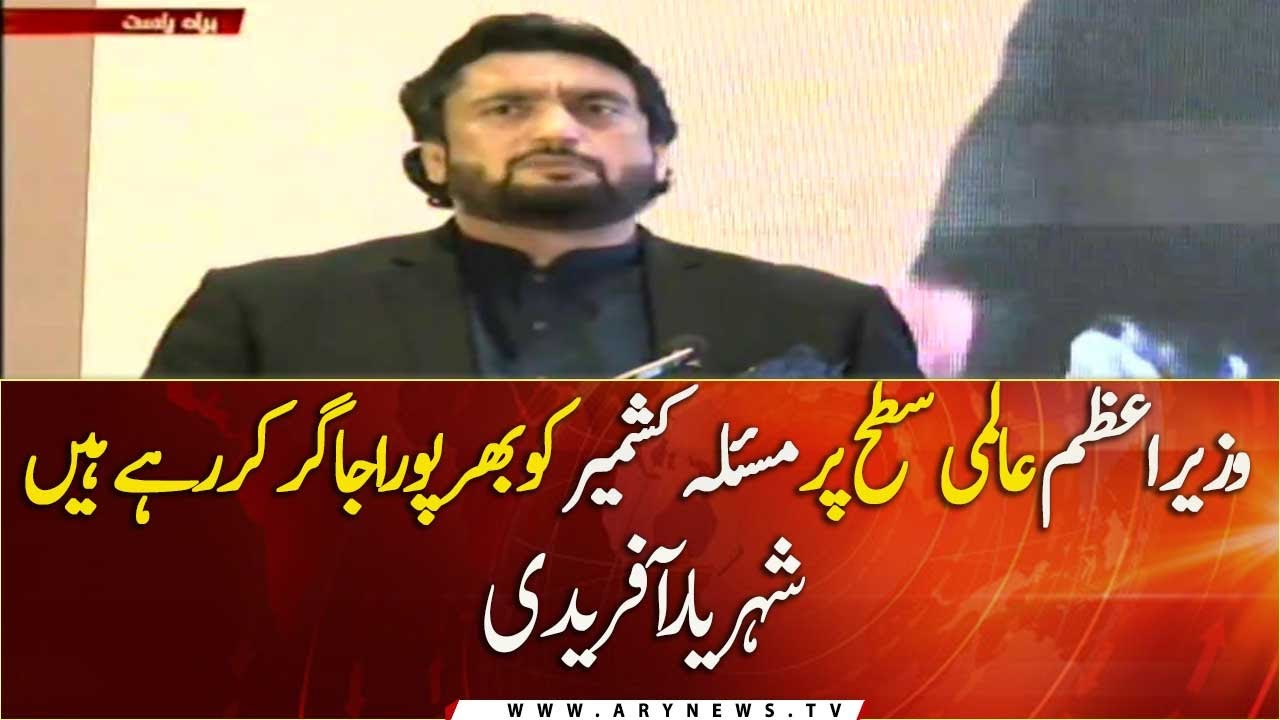 Chairman Kashmir Committee Shehryar Khan Afridi complete speech |10 November 2020 | ARY News |
