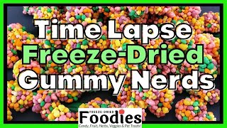 Freeze Dry Time Lapse Gummy Nerd Clusters