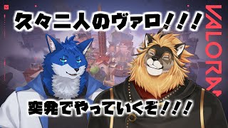 【コラボゲーム配信】突発で久々ヴァロ！！！【廻炎とーま・蒼月ロウヤ】