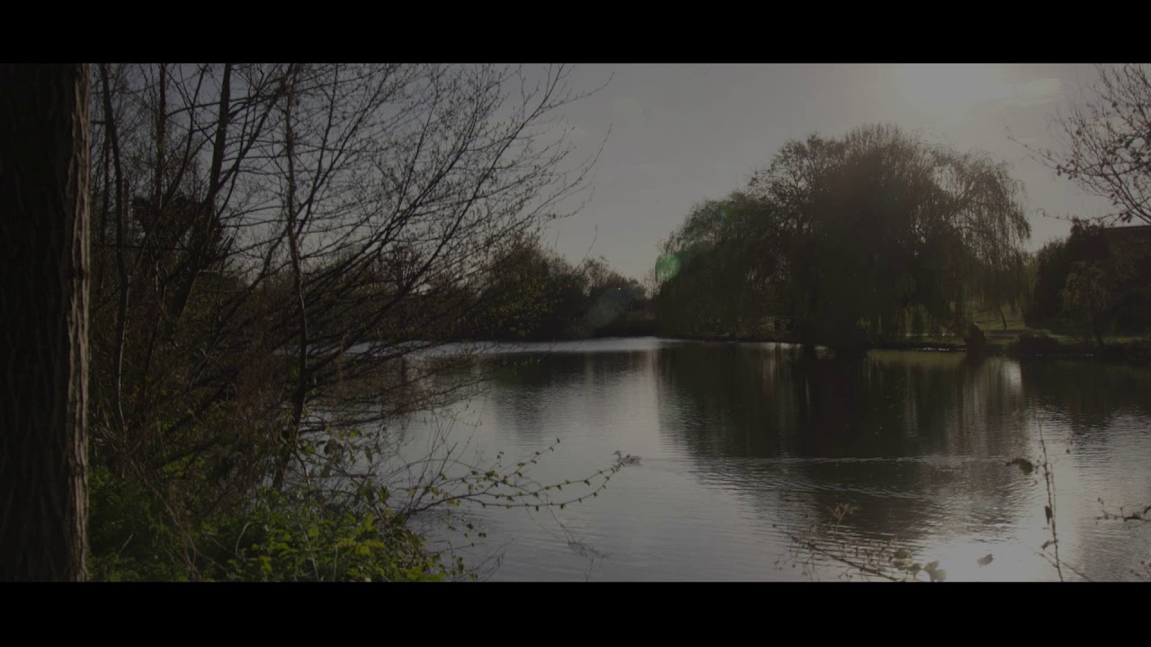 grad filters inserts