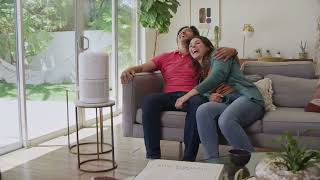 Wirecutter Air Purifier: LEVOIT Air Purifier for Home Allergies Pets Hair in Bedroom Review