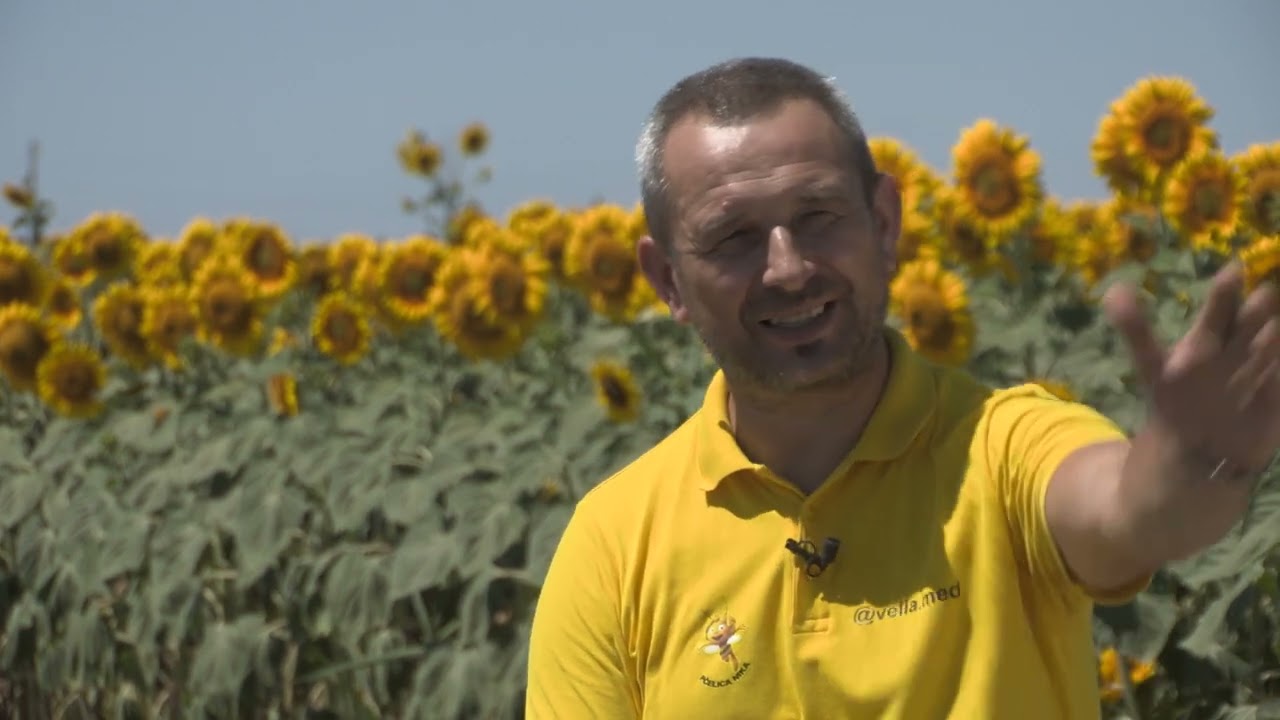 Boja meda ep. 384 15.07.2025. Suncokretova paša, postupanje sa dimilicom po završetku radova