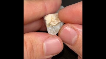 Long Dark Colorful Coober Pedy Opal Rough #darkopal #darkstone #cooberpedy #opals #uncutopal #band