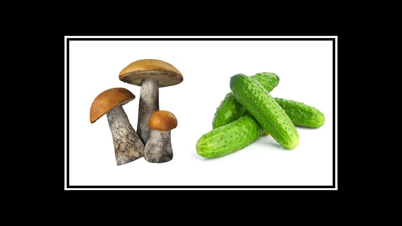 Сколько грибов в третьем. Грибы прикол. Грибы галлюциногенные нарисованные. Сколько грибов в бочонке. Сколько грибов в 3 бочонке.