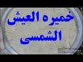 #خميره العيش الشمسى//والبديل ليها//
