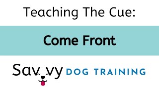 Teaching The Cue: Come Front