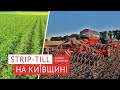 Реальний досвід! Стріптіл з сівалкою HORSCH Focus + Треззор, гібрид озимого ріпаку від RAGT