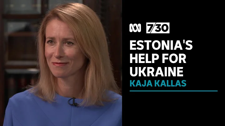 Estonia's Prime Minister Kaja Kallas calls for gre...
