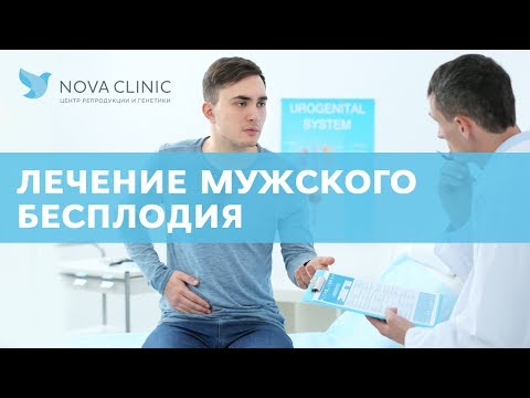 Лечение мужского бесплодия