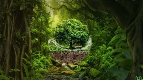 Photoshop Speed art Tree