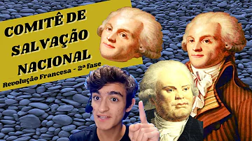 Foi instaurado pelos deputados jacobinos o Comitê de Salvação Nacional que tinha a função?