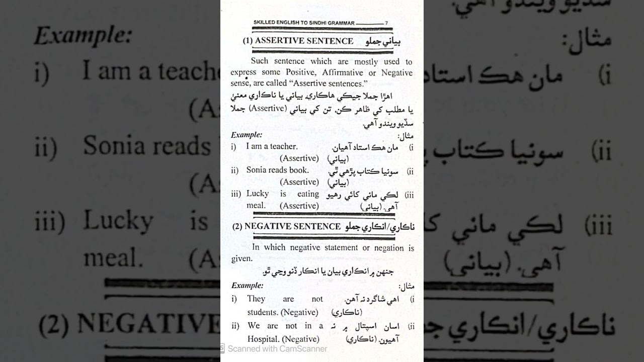 Assertive and Negative Sentences in English | Sindhi Grammar Explanation |
